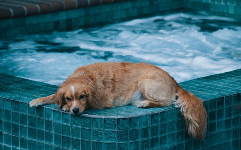 Jakob dalbjorn unsplash Hot Tub