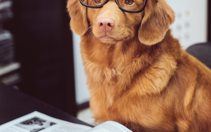 Jamie street Zqy x7 K5 Qcg unsplash 1